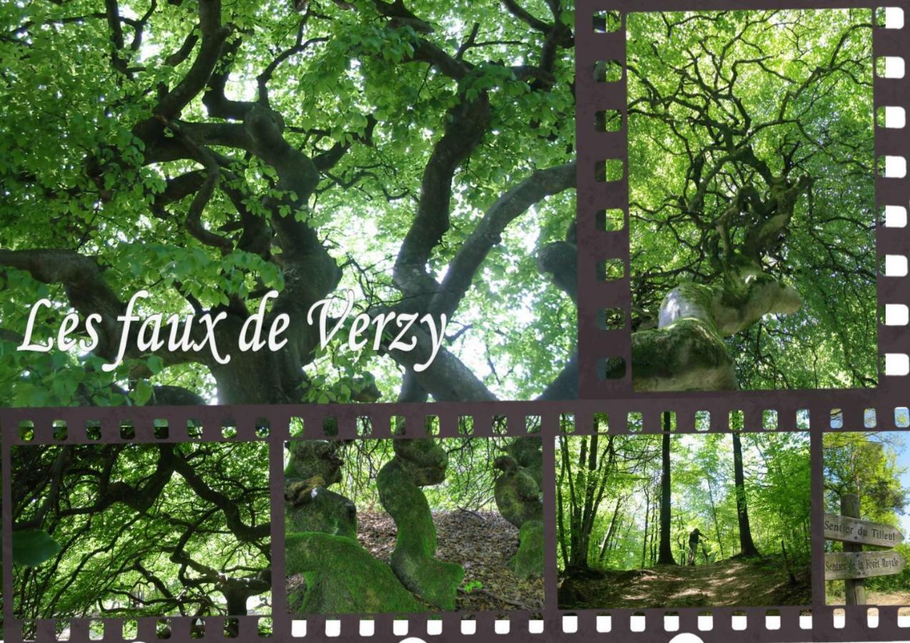 Bedinreims "Burgundy Bottle" 110M2 Exceptional, 4 Chambres Doubles, 2 Bain, Free Park & Wifi, Tout Equipe Luaran gambar